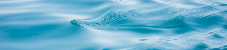 wasser1.jpg