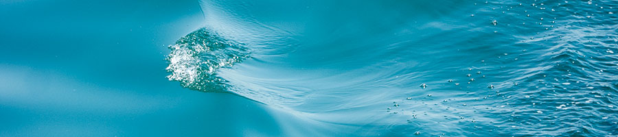 wasser3.jpg