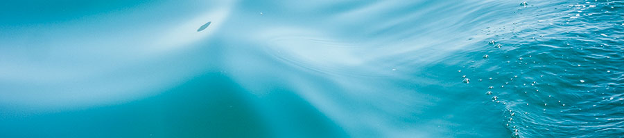wasser4.jpg